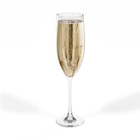 Master Mason Blue Lodge Champagne Flute - Checkered Floor Pillars All-Seeing Eye & Tools - Bricks Masons