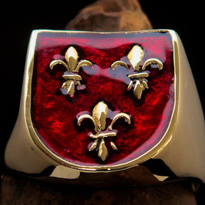 Knights Templar Commandery Ring - Red Knight Fleur De Lis Cross Brass