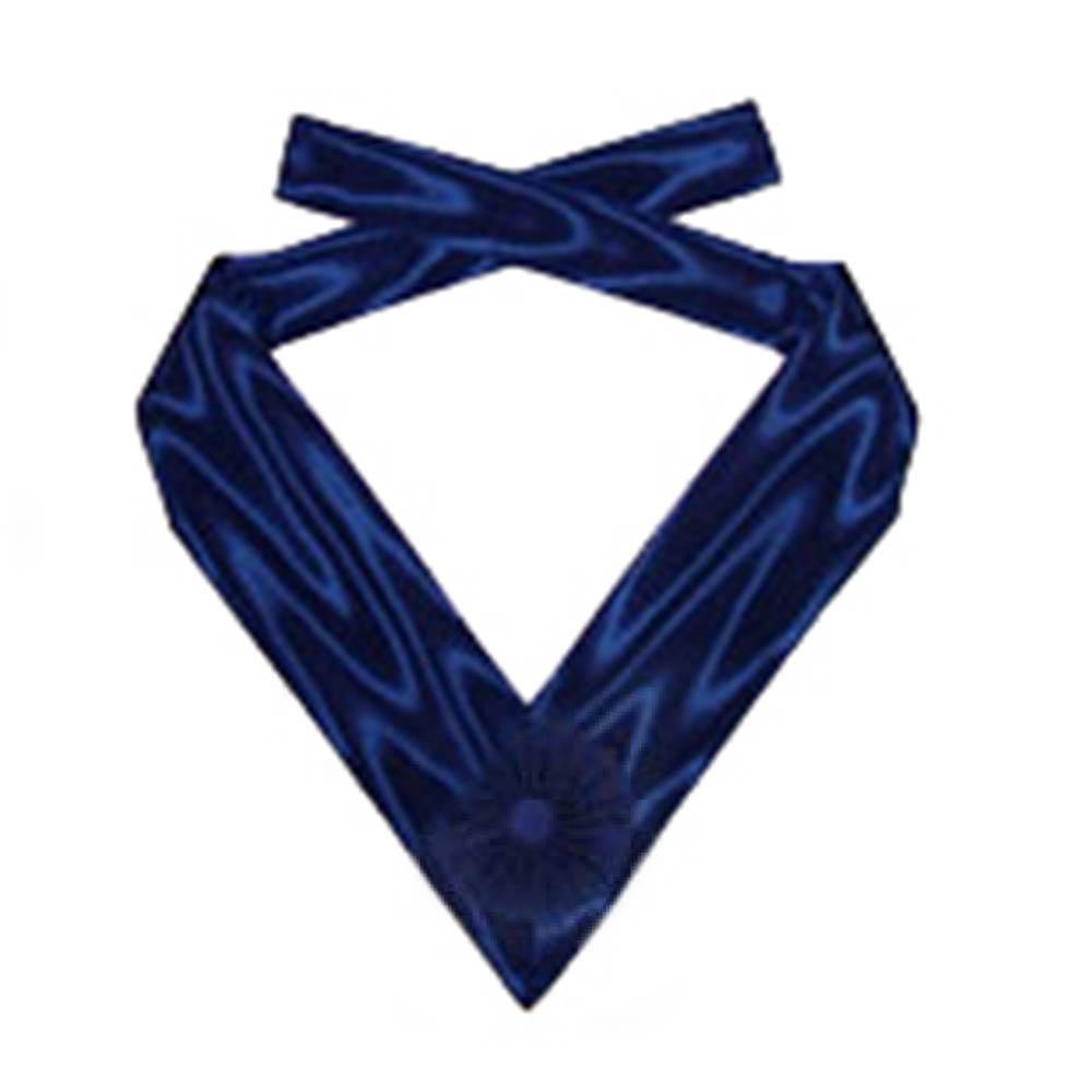 Past Provincial Order of The Secret Monitor AMD Collarette - Dark Blue