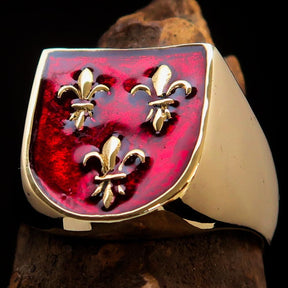 Knights Templar Ring - Red Knight Fleur De Lis Cross Brass - Bricks Masons