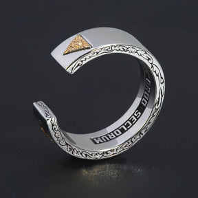 Eye Of Providence Ring - 925 Sterling Silver Novus Ordo Seclorum - Bricks Masons